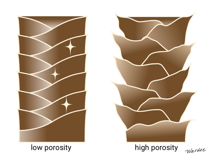 Graphic of two hair strands. One where the pores are tight and closed, the other where they stick out further.