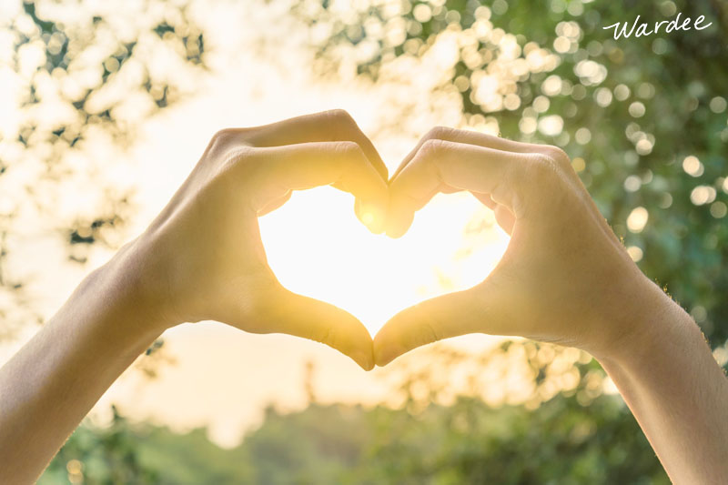 A woman's hands shaped like a heart held up to the sun overhead.