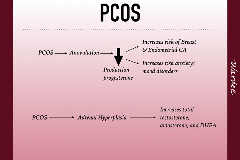 Diagram showing the long-term health risks of PCOS.