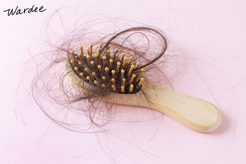 Small wooden hair brush full of hair that has fallen out.