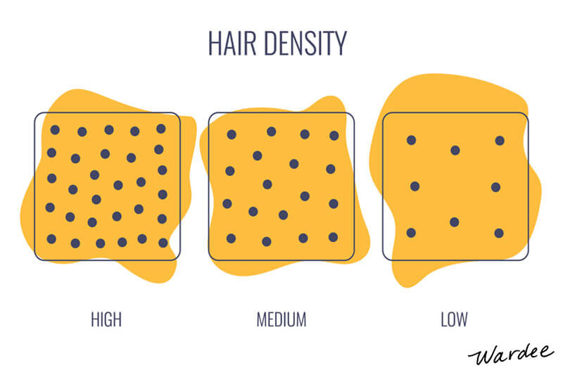 Graphic showing the various types of hair density, from high to low. It is labeled "Hair Density".