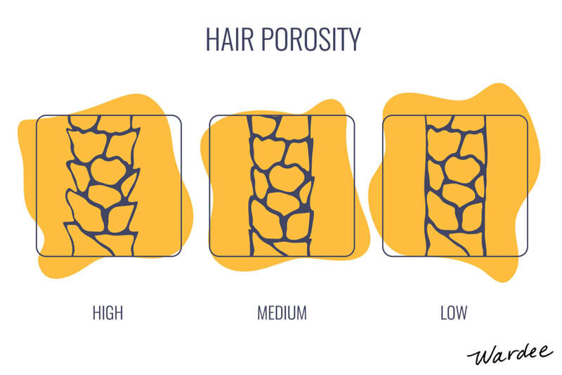 Hair Porosity: What Is It and What Type Do You Have?